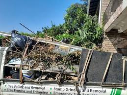 Best Construction Debris Removal  in Percy, IL